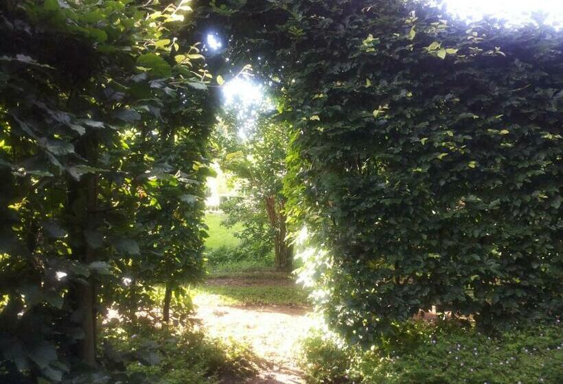 Bed & Breakfast Onder Dak