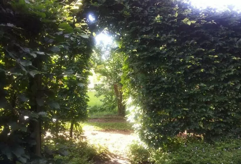 Bed & Breakfast Onder Dak