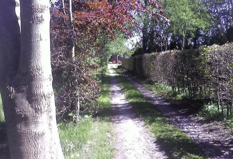 Bed & Breakfast Onder Dak