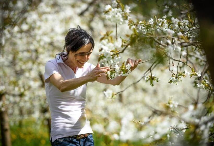 בית מלון כפרי Coltiviamo Sogni