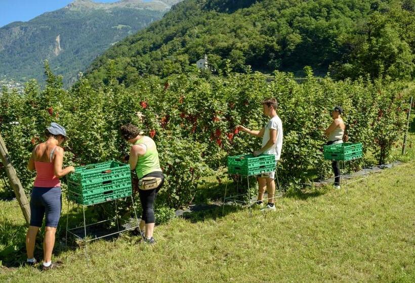 בית מלון כפרי Coltiviamo Sogni