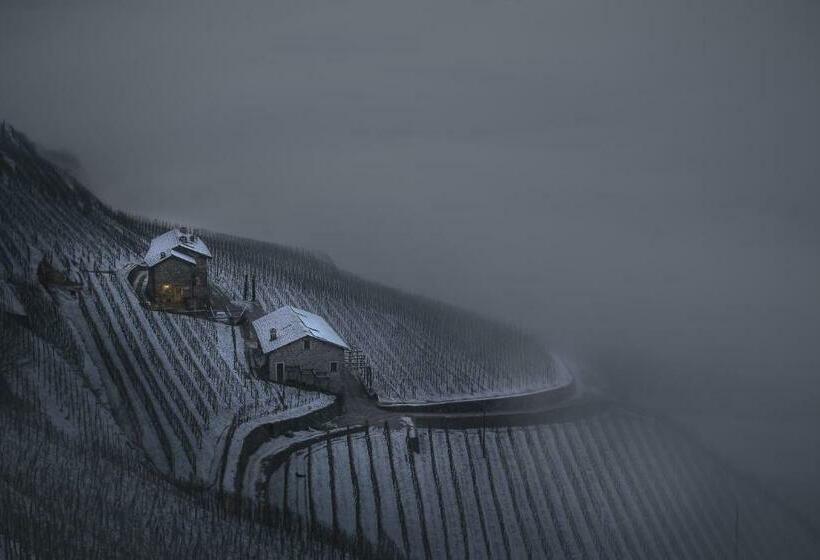 בית מלון כפרי Coltiviamo Sogni