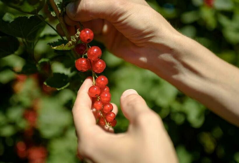 בית מלון כפרי Coltiviamo Sogni