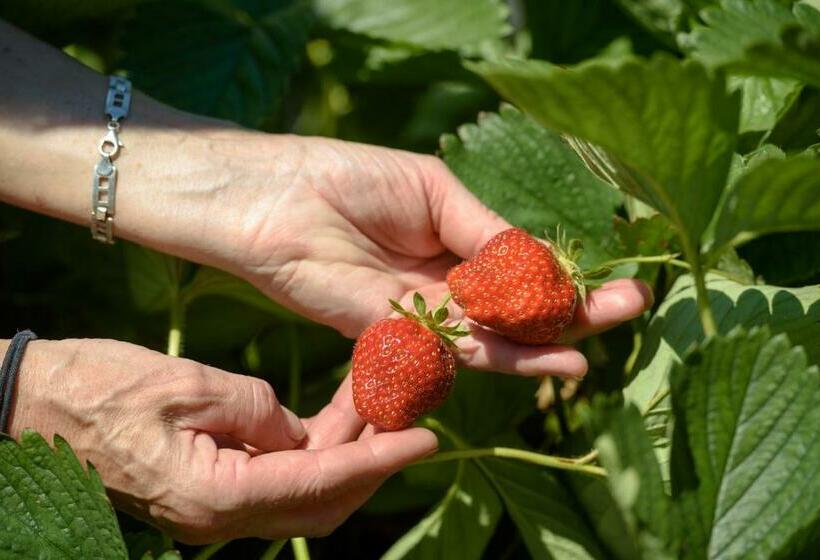 בית מלון כפרי Coltiviamo Sogni