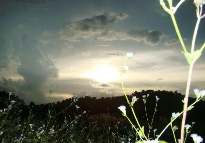 Memoria Palace & Resort