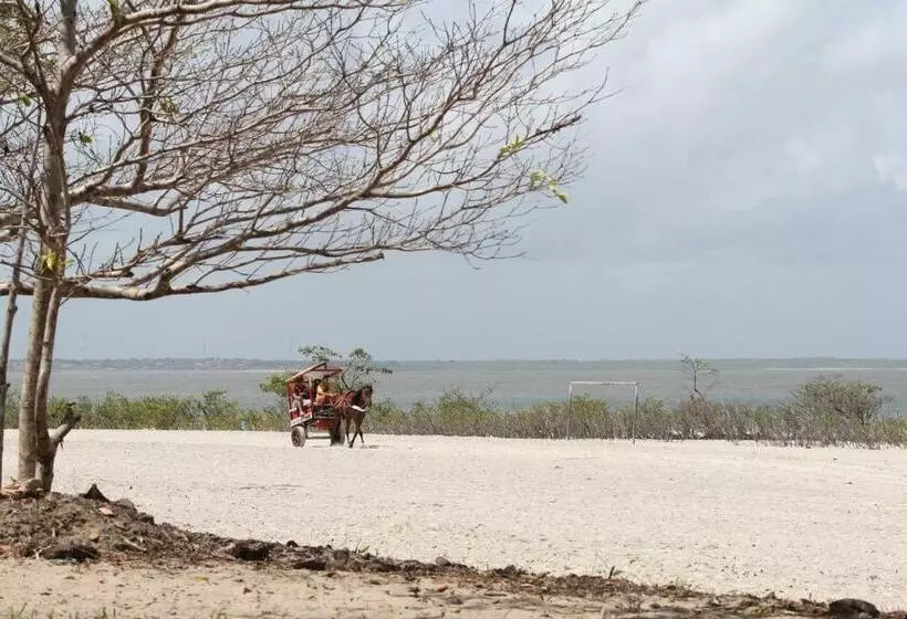 ペンション Algodoal Bela Mar Pousada