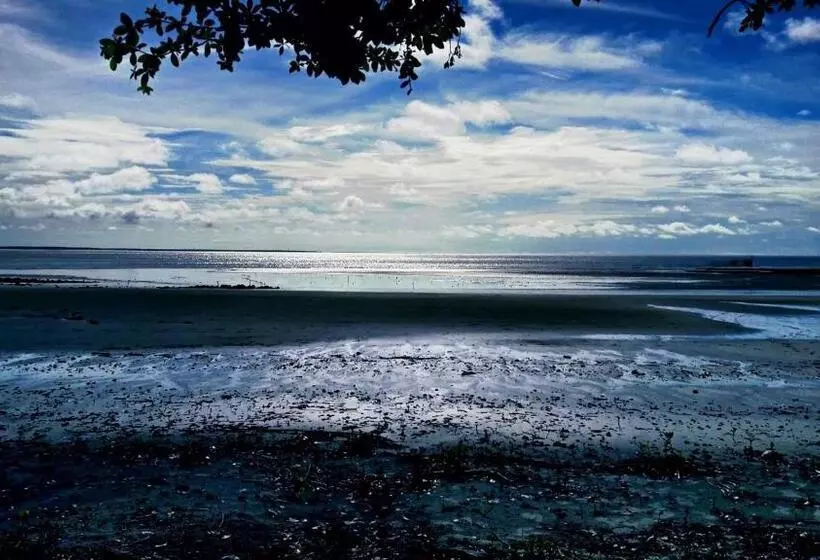 ペンション Algodoal Bela Mar Pousada