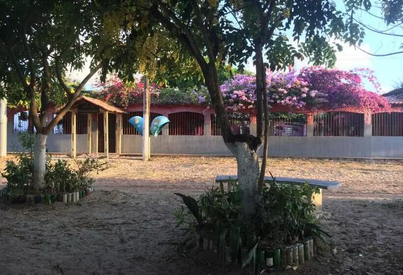 ペンション Algodoal Bela Mar Pousada