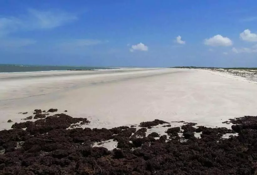 ペンション Algodoal Bela Mar Pousada