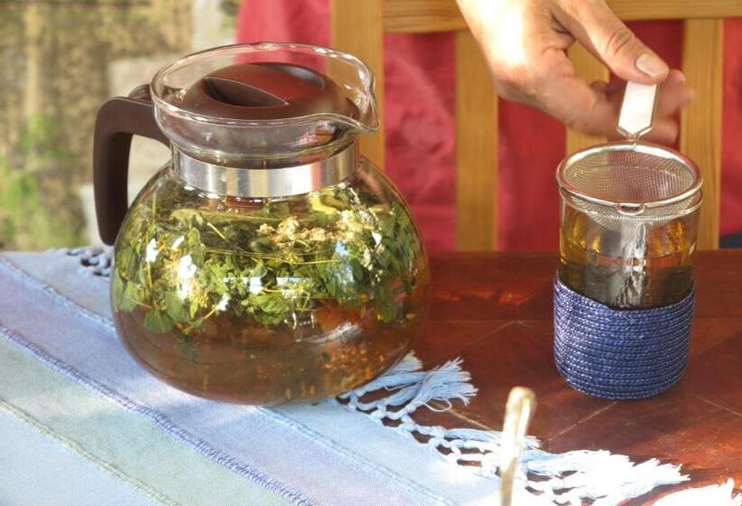 펜션 Bilkarskata Kashta