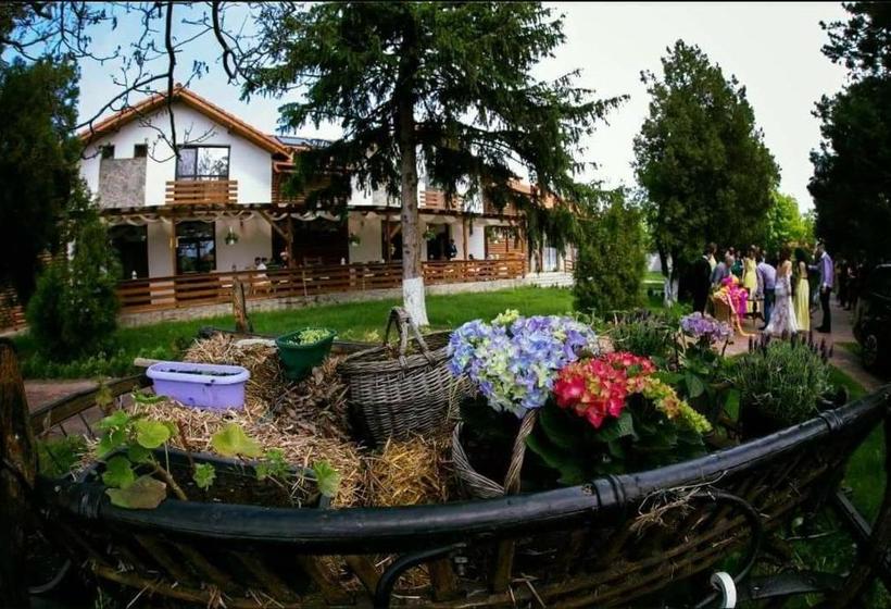 بنسيون Casa Cu Nuc