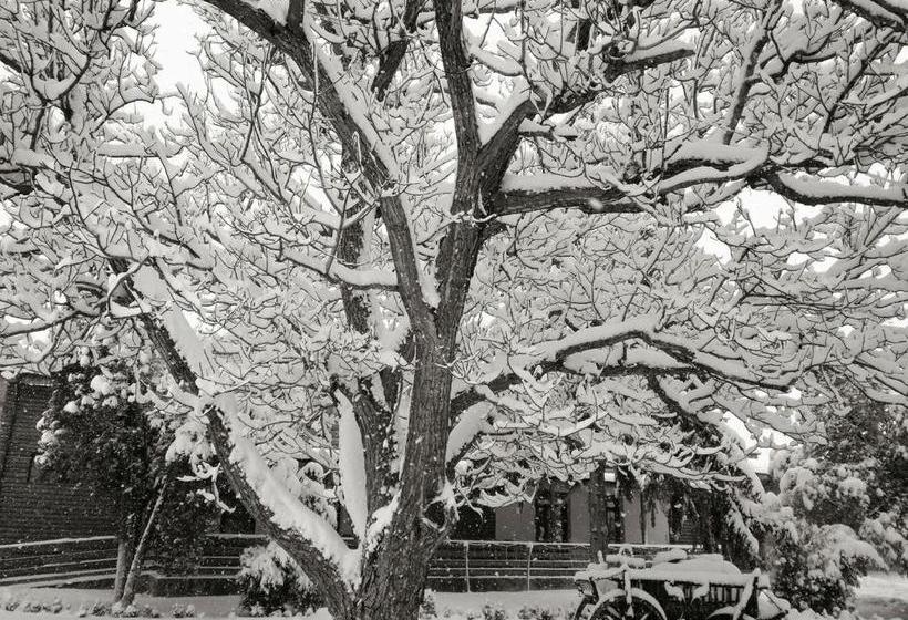 بنسيون Casa Cu Nuc