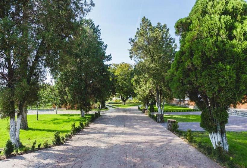 بنسيون Casa Cu Nuc