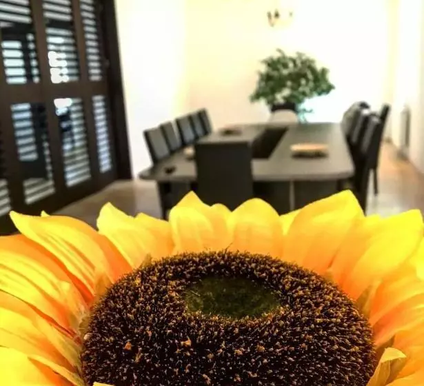 ペンション Casa Cu Nuc