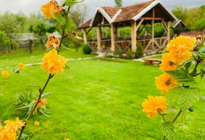 Pensão Casa La Moara Din Grădină
