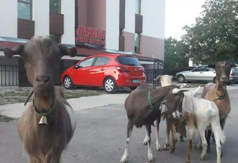 Majatalo Lakata Guest House