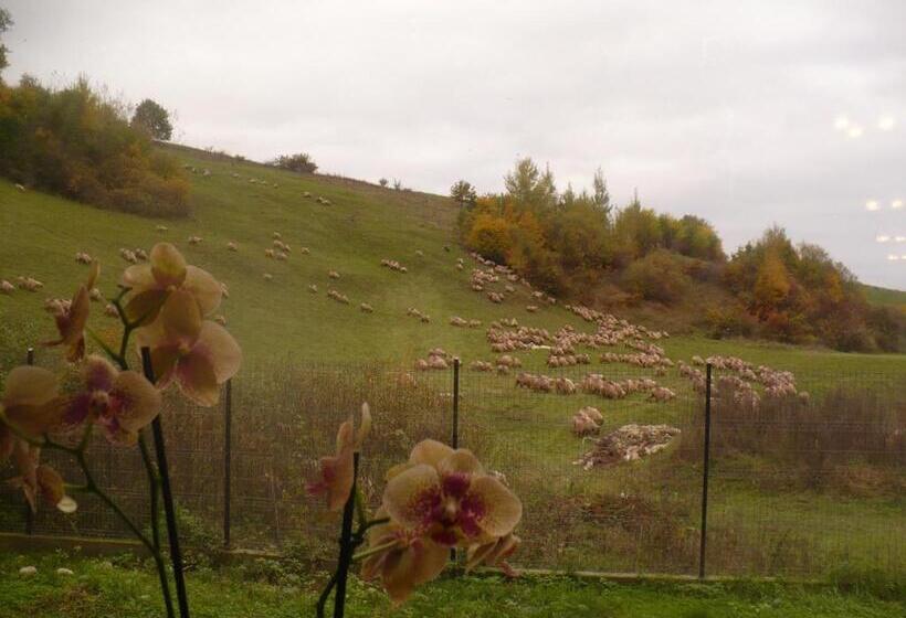 Pensiune Marginimea Sibiului