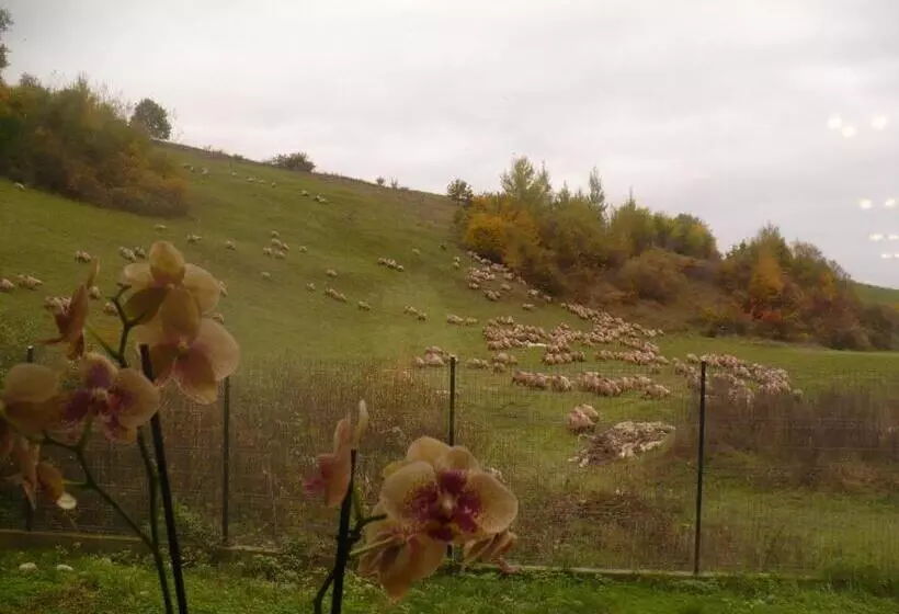 Pensiune Marginimea Sibiului