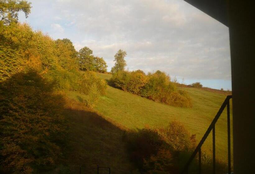 Pensiune Marginimea Sibiului