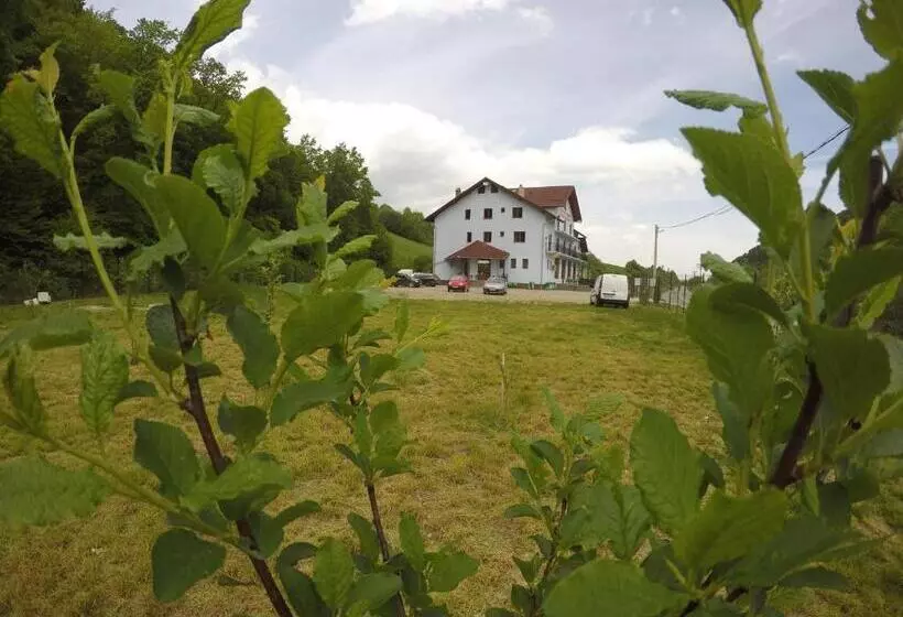 Pensiune Marginimea Sibiului