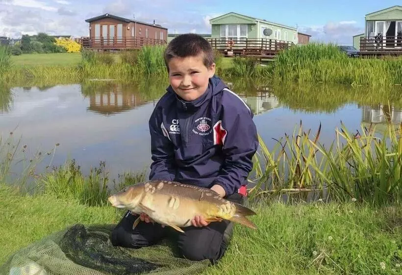 リゾートホテル Whitecairn Holiday Park