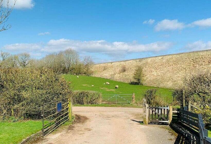 渡假胜地 Wild Rose Holiday Park