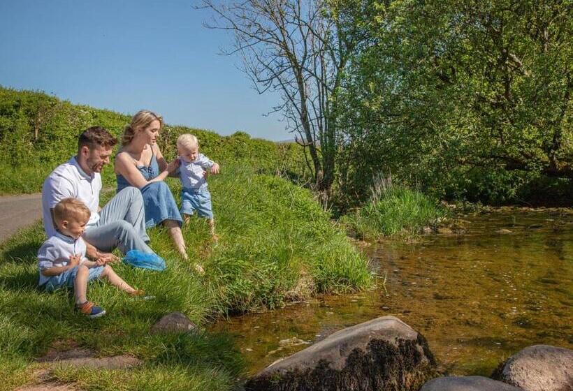 渡假胜地 Wild Rose Holiday Park