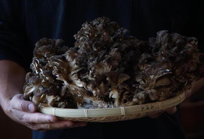 ריוקאן Shiroyamakan