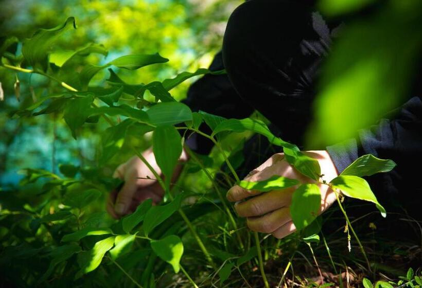 ריוקאן Shiroyamakan