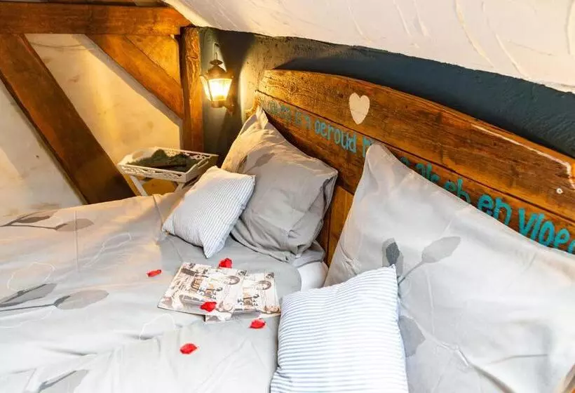 Aamiaismajoitus (B&B) Brabantse Hoeve