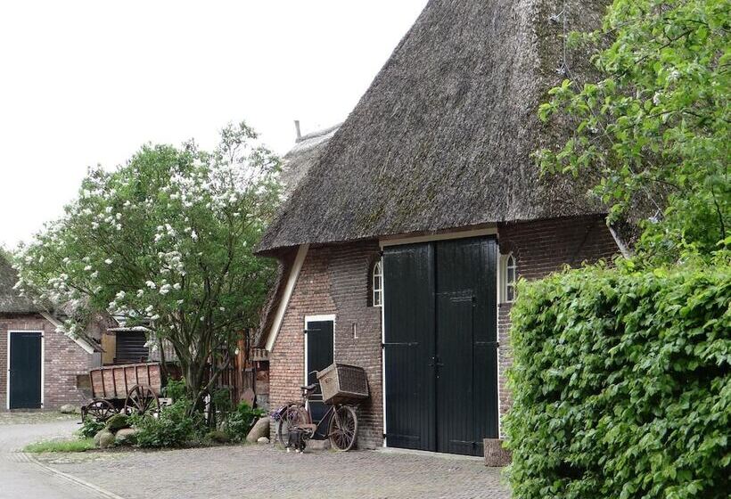 Bed & Breakfast Geeser Waag