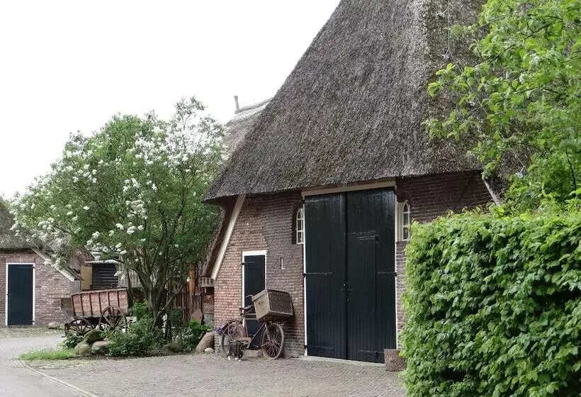 Bed & Breakfast Geeser Waag