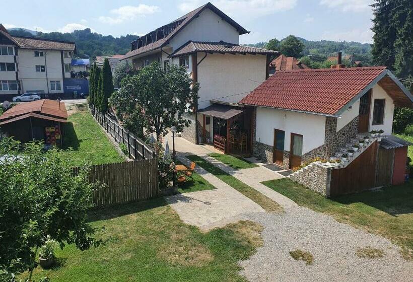 فندق Pensiunea Dandu