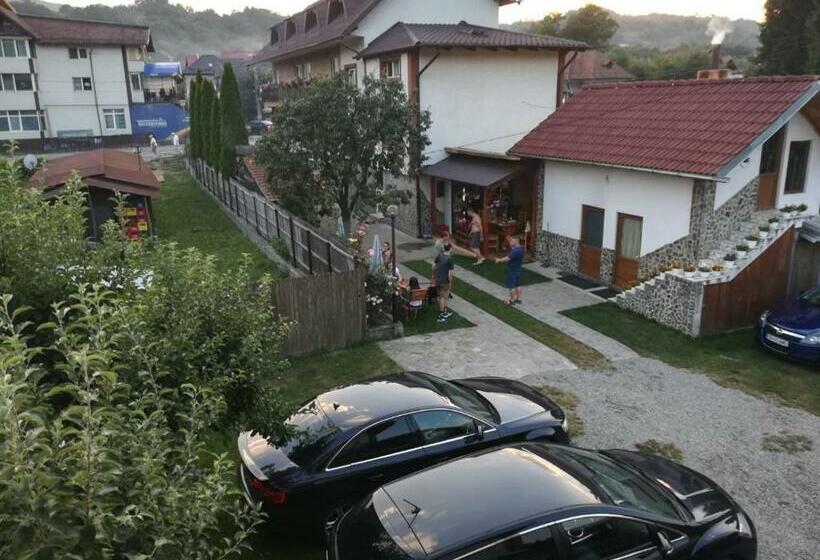 فندق Pensiunea Dandu