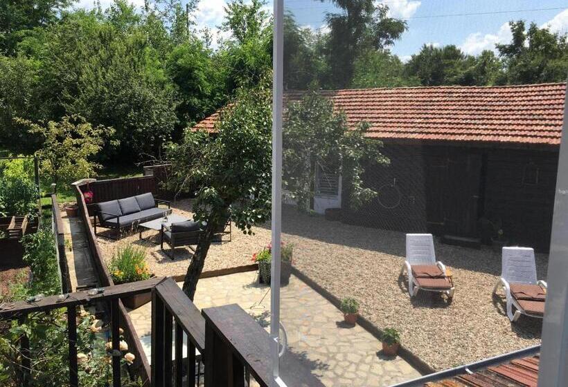 酒店 Sunflower Guest House Bulgaria