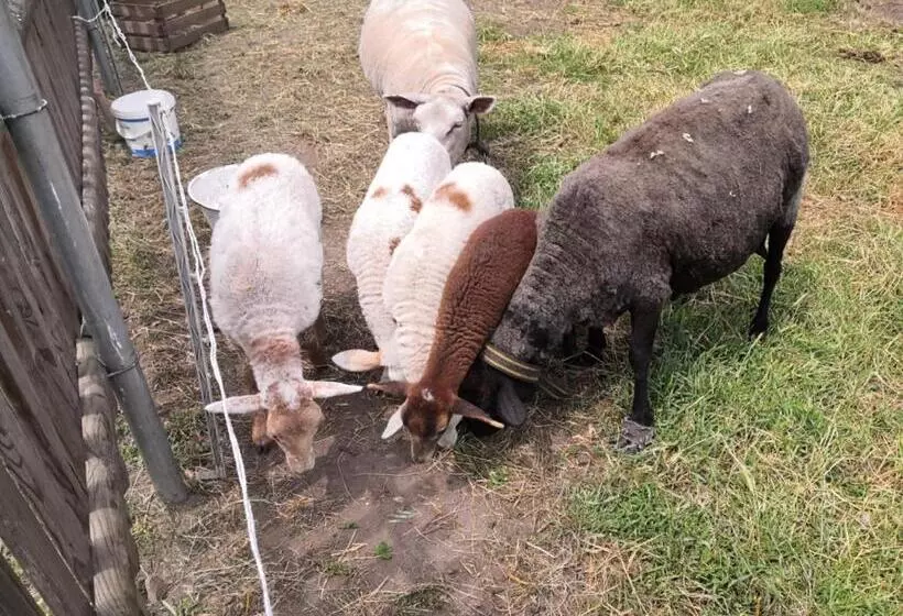 ペンション Gästehaus Liemehna