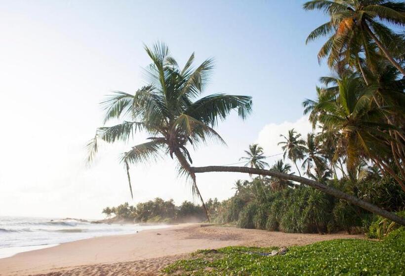 منتجع Villa Maggona