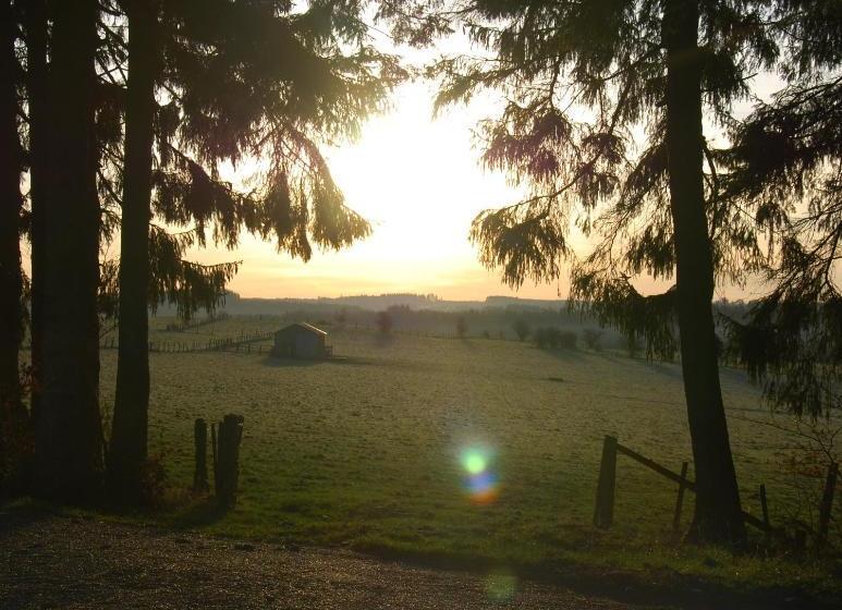 B&b Le Renard Dormant