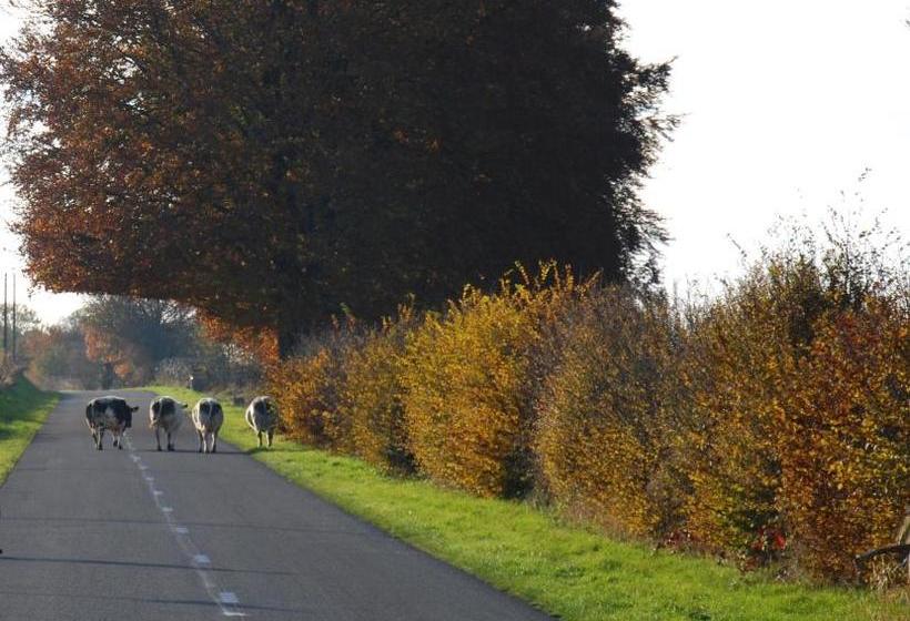 B&b Le Renard Dormant