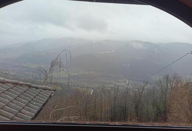 Orchidea Selvatica B&b