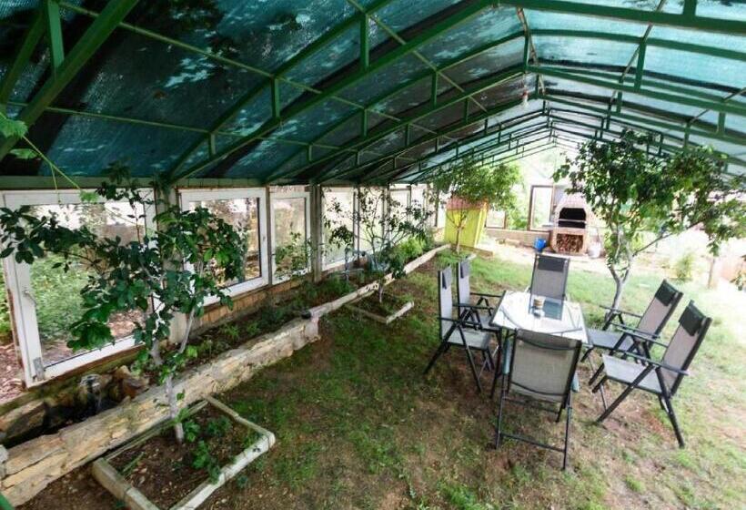 Bed and Breakfast Apartments Milic