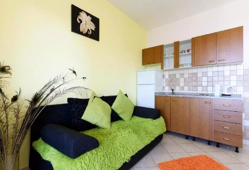 ベッドアンドブレックファースト Apartments Milic