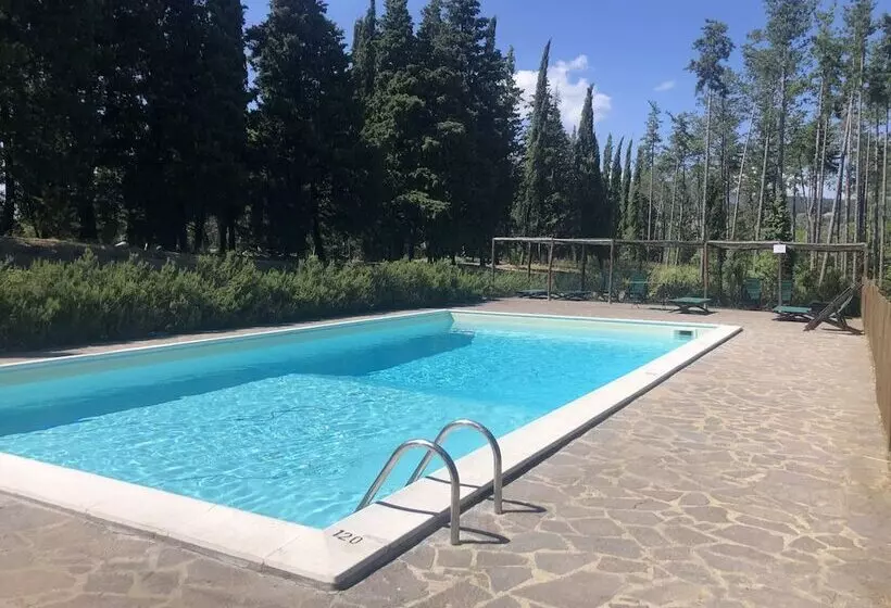 Detached Cottage With Swimming Pool