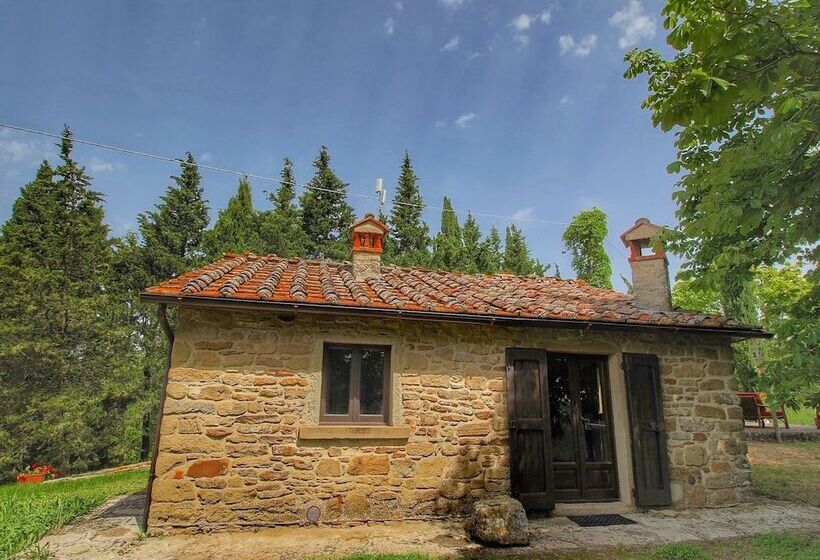 Detached Cottage With Swimming Pool