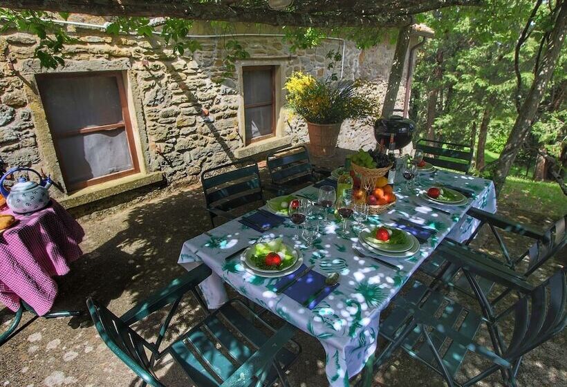 Detached Cottage With Swimming Pool