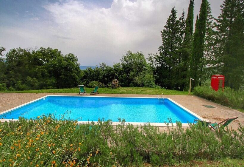 Detached Cottage With Swimming Pool