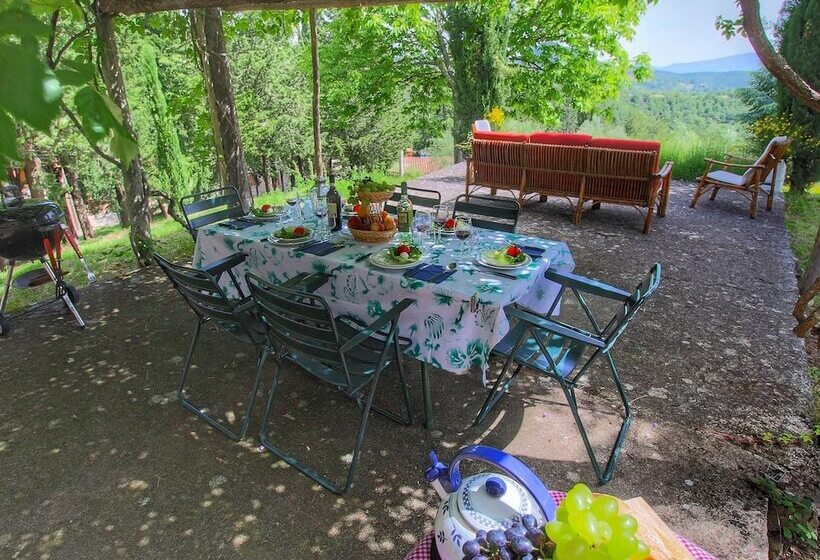 Detached Cottage With Swimming Pool