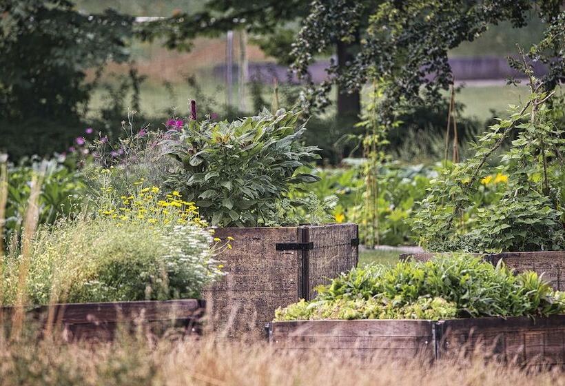 בית מלון כפרי Les Sorbiers