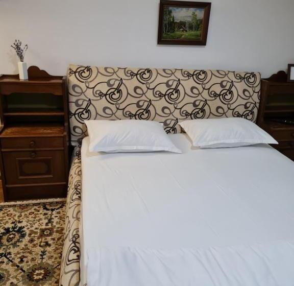 ホテル Pensiunea Clasic