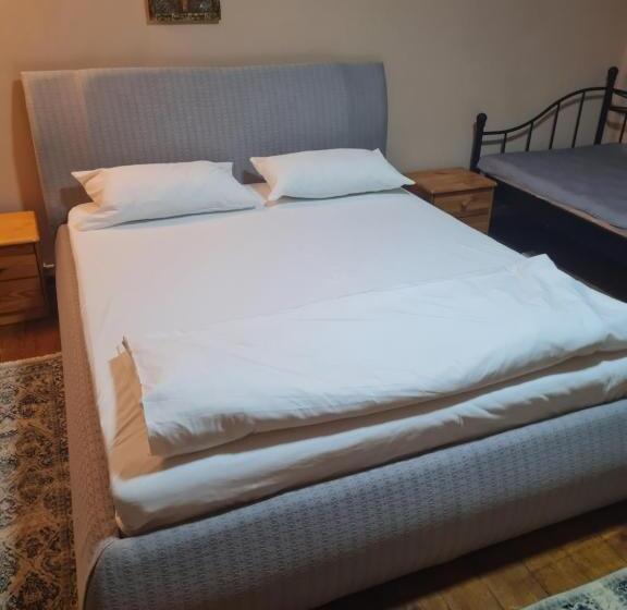 ホテル Pensiunea Clasic